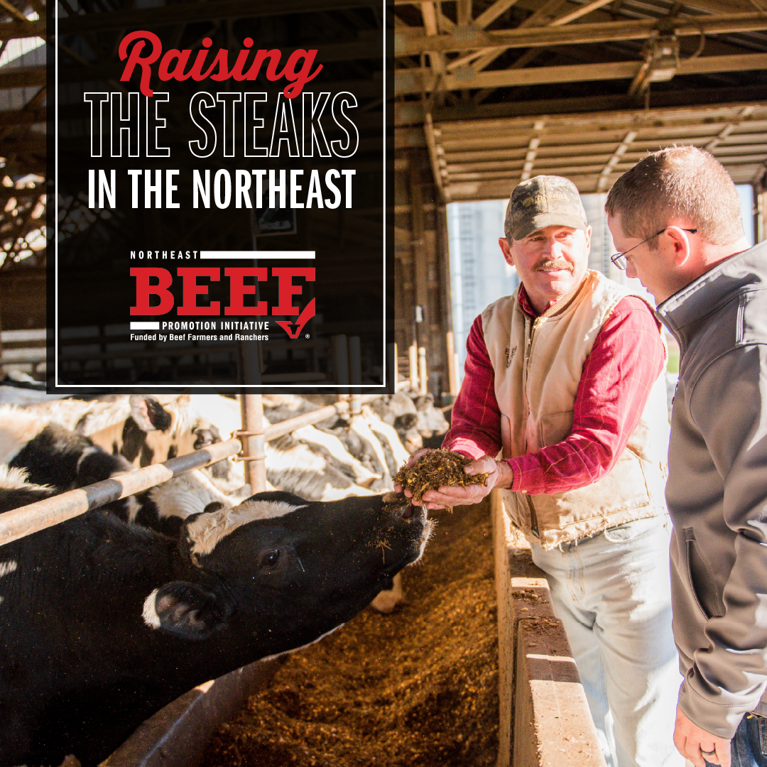 Northeast Beef Promotion Initiative is Raising the Steaks for the Beef Community
